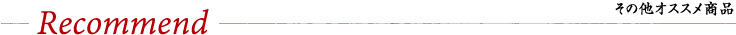 その他のオススメ商品